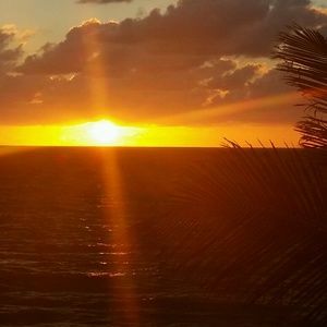 Meet your Posher, Rita